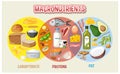 Main food groups macronutrients vector