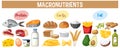 Main food groups macronutrients vector