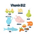 The main food sources of vitamin B12 The concept of healthy eating