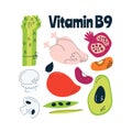 The main food sources of vitamin B9. Healthy food concept.