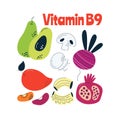 The main food sources of vitamin B9. Healthy food concept.