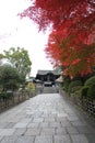 Main Gate and autumn leaves in Otani-Hombyo, Kyoto, Japan Royalty Free Stock Photo