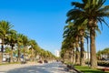 Main palm alley in Salou.