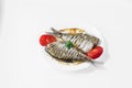 Two raw fish on a white plate Royalty Free Stock Photo