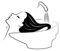 The main profile of a beautiful lady. The girl in the beauty salon. Woman washes her hair with water in the hairdresser`s car was