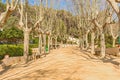 Main promenade in Calella Spain