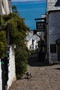 Clovelly N. Devon old fishing village