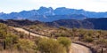 Main road through Organ Pipe Cactus National Monument in southern Arizona Royalty Free Stock Photo