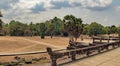 Main road to the Angkor Wat, Siem Reap, Cambodia.