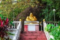 Main stair to Gold Buddha of Chineese Sangthom Temple of the Goddess of Mercy Shrine in Chaloklum, Ko Pha Ngan, Thailand