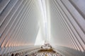 Oculus World Trade Center Transportation Hub