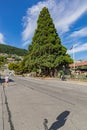 A main Street in Queenstown, Otago New Zealand. A huge tree is seen in the center of town. Southern Alps surround Queenstown.