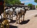 Stagecoach, Main Street, Tombstone, Arizona Royalty Free Stock Photo