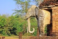 Elephants Statue At Wat Chang Lom, Sukhothai, Thailand Royalty Free Stock Photo