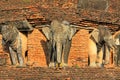 Elephants Statue At Wat Chang Lom, Sukhothai, Thailand Royalty Free Stock Photo