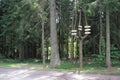 The main subject is out of focus forest sign directions trip decide way summer trees europe czech republic