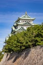 Main Tower Keep And Kinshachi,Golden Tiger-Fish Roof Ornaments At Nagoya Castle Royalty Free Stock Photo