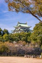 Main Tower Keep And Kinshachi,Golden Tiger-Fish Roof Ornaments At Nagoya Castle Royalty Free Stock Photo