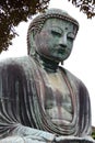 Main view of the Daibutsu, the famous great buddha bronze statue placed in Kotokuin Temple in Kamakura, Japan Royalty Free Stock Photo