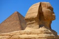 Main view of the Great Sphinx of Giza with Pyramid backwards, Egypt Royalty Free Stock Photo