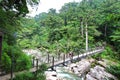 Main view of one of the several bridges crossing the river in Yakusugiland park Royalty Free Stock Photo