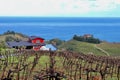 Main view of a wonderful Txakoli wine cellar and vineyards close to the Cantabrian sea in the amazing village of Guetaria. Royalty Free Stock Photo