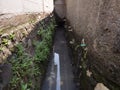 Main water irrigation which is irrigated with water from the household