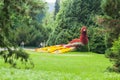 Mainau Floral Peacock