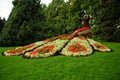 Mainau Floral Peacock II