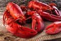 Maine Atlantic Lobster Royalty Free Stock Photo