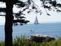 Maine Coastline Sailboat Royalty Free Stock Photo