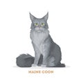 Maine coon cat. Royalty Free Stock Photo
