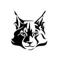 Maine coon cat black and white vector head outline