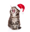 Maine coon cat with open mouth in red santa hats. isolated on white Royalty Free Stock Photo