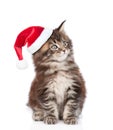 Maine coon cat in red santa hat looking away. isolated on white background Royalty Free Stock Photo