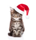 Maine coon cat in red santa hat looking at camera. isolated on white Royalty Free Stock Photo
