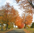 Maine fall colors in the cemetary Royalty Free Stock Photo