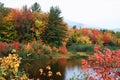 Maine fall foliage