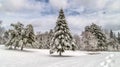 Maine Holiday Winter Landscape Scene