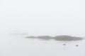 Maine lobster boat at anchor with ducks in the foreground on a foggy Maine morning.