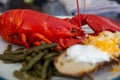 Maine lobster dinner Royalty Free Stock Photo