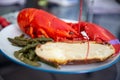 Maine lobster dinner Royalty Free Stock Photo