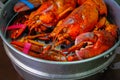 Maine Lobster in the iron steamer Royalty Free Stock Photo