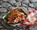 Maine Lobster Roll Picnic on Rocks Royalty Free Stock Photo