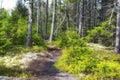 Maine Nature Trail new england Royalty Free Stock Photo