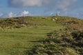 Maintained pathways leading to the trig point on Halkyn Mountain Royalty Free Stock Photo