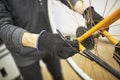 Maintenance of a bicycle: person disassembling the rear wheel of an orange bike