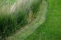 Before mowing, the lawn must be prepared from the edges of the flowerbeds to be cut by a string mower. lawn green maintenance Royalty Free Stock Photo