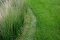 Before mowing, the lawn must be prepared from the edges of the flowerbeds to be cut by a string mower. lawn green maintenance Royalty Free Stock Photo