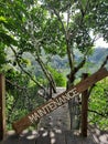 MAINTENANCE WARNING TREE LEAF BLUE SKY PARIWISATA BALI